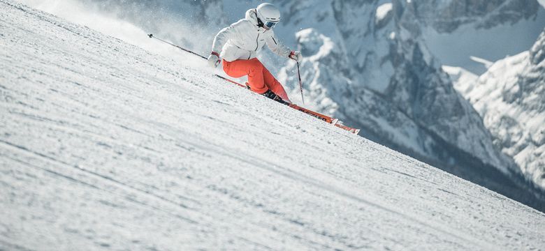 Panorama Wellness Resort Alpen Tesitin*****: AT Aktiv