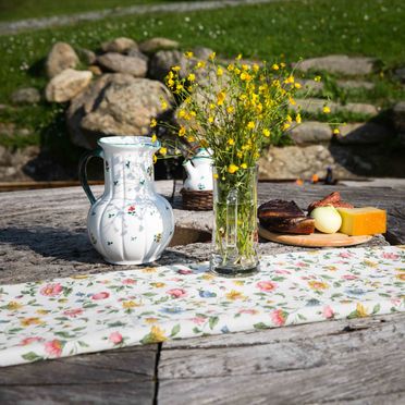 Sommer, Gregor Peter Hütte, Preitenegg, Kärnten, Kärnten, Österreich