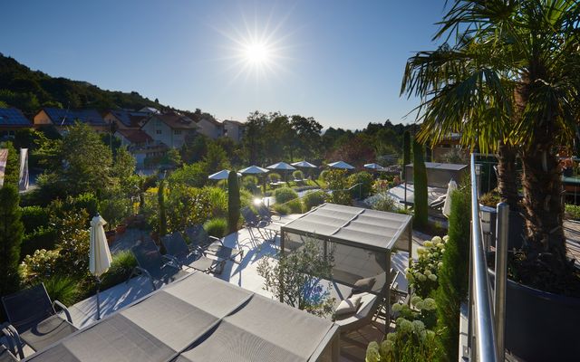 Angebot: SOMMER.GLÜCK - Wiedemann's Weinhotel