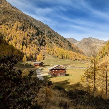 Sommer, Unterkofler Almhütte, Außervillgraten , Tirol, Tirol, Österreich