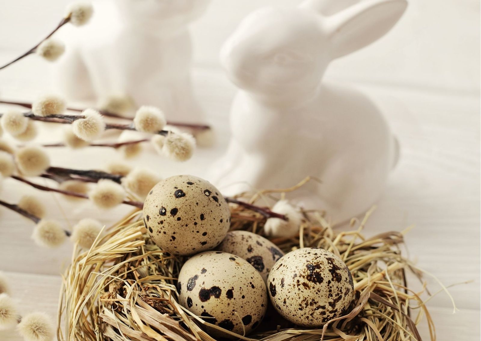 Ostern zu Zweit genießen  image 2 - Die Reichsstadt