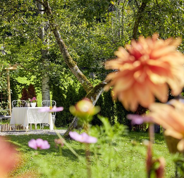 Impressions #5 - Relais & Châteaux Hotel Tennerhof