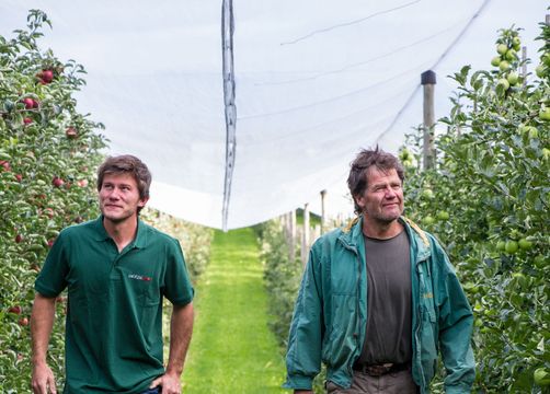 Naturresort Gerbehof: Familie Wagner bei der Apfel-Ernte - Naturresort Gerbehof, Friedrichshafen-Ailingen, Bodensee, Baden-Württemberg, Deutschland