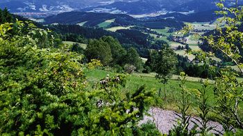 Naturparkwirte-Pauschale