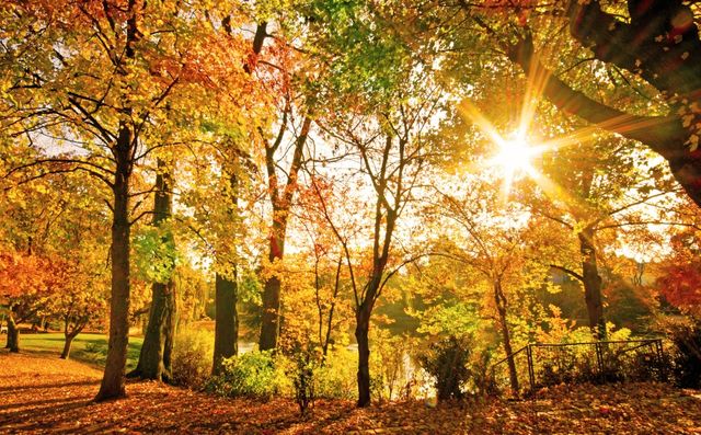 Goldene Herbsttage
