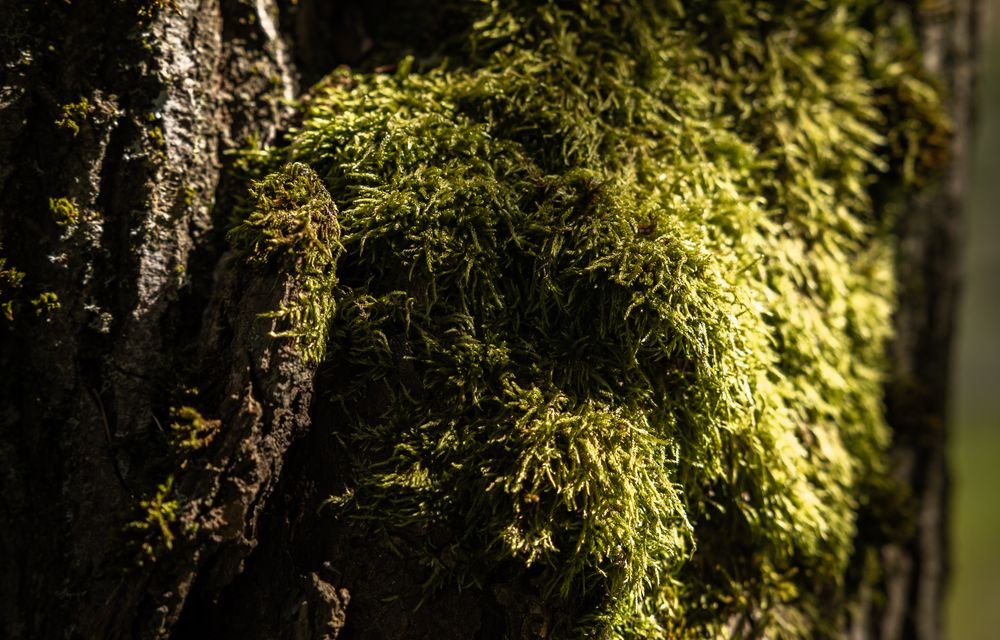 Ritual "Ich bin Mama - von Kopf bis Fuß"