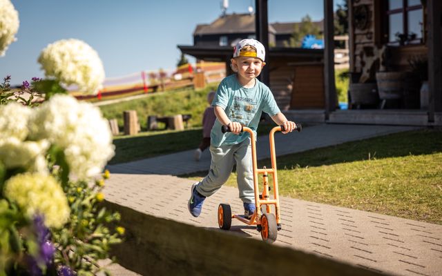Allein mit Kind image 4 - Familotel Erzgebirge Elldus Resort