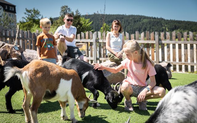 Familotel Erzgebirge Elldus Resort: Pfingstferien  - so bunt wie der Frühling