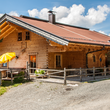 Sommer, Steinbergalm, Kitzbühel, Tirol, Tirol, Österreich