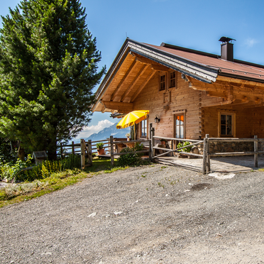 Sommer, Steinbergalm, Kitzbühel, Tirol, Tirol, Österreich