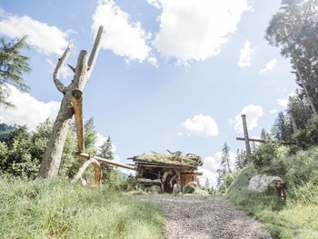 Chalet Almrausch - Salzburg - Österreich