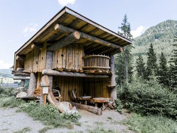 Chalet Wildberg - Salzburg - Österreich