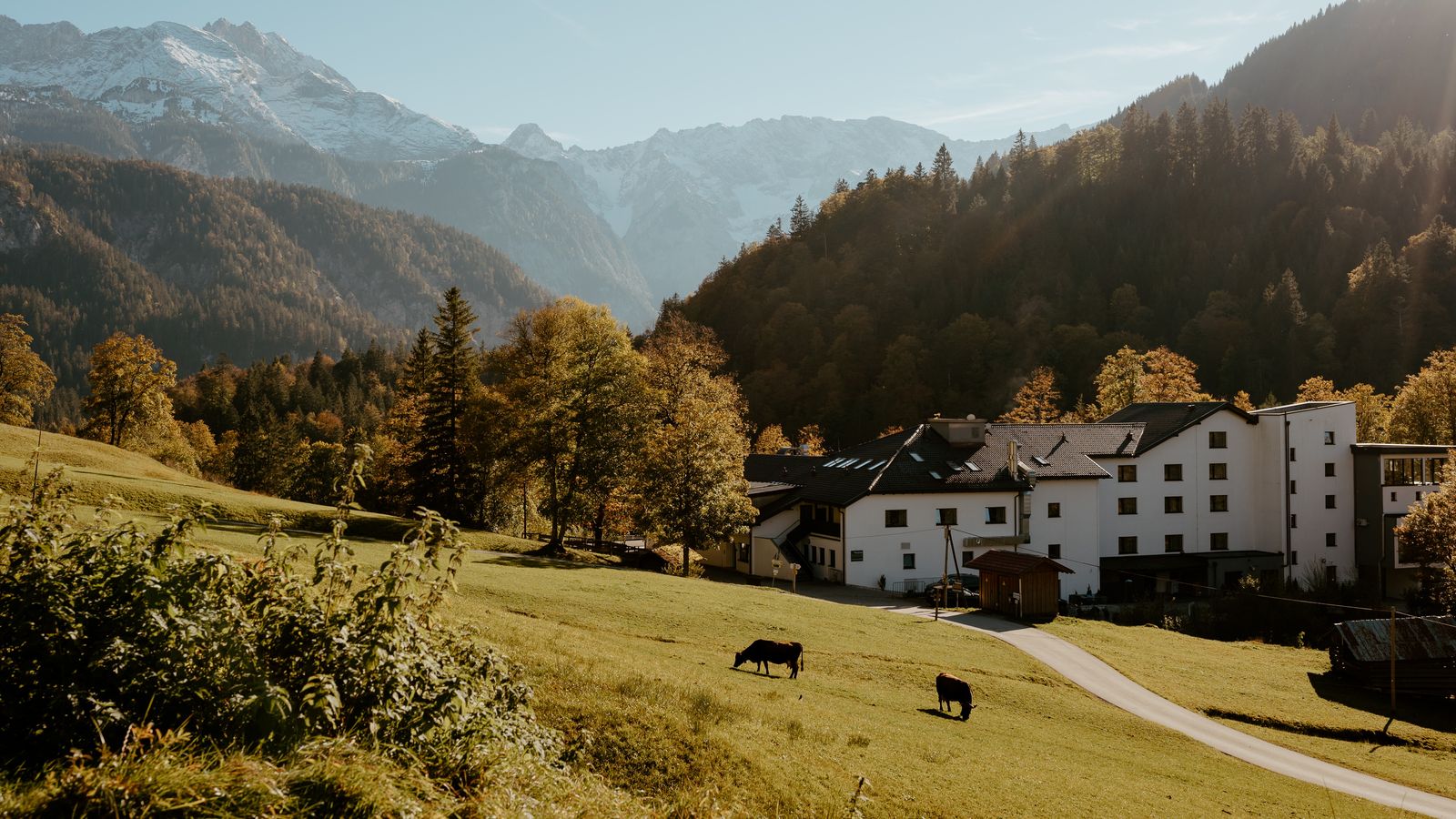 Bild #7 - DAS GRASECK - mountain hideaway & health care