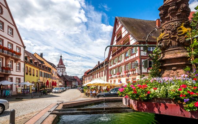 Gans. Wild(e). Auszeit image 5 - Hotel Sonne Gengenbach