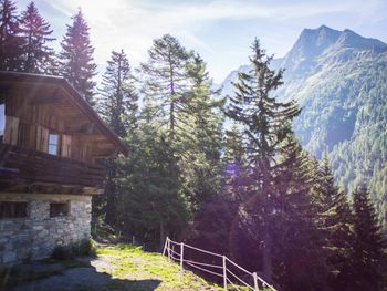 Tröglesalm - Tirol - Österreich