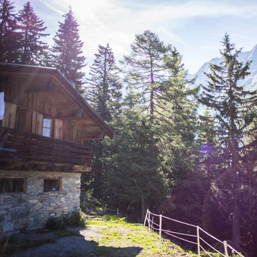 Sommer, Tröglesalm, Matrei in Osttirol, Tirol, Tirol, Österreich