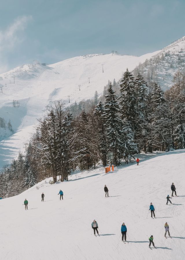Angebot: SCHNEEWEISS - DAS KRONTHALER****S