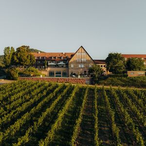 Impressionen #8 - Leinsweiler Hof