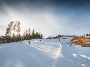 Prenner Alm - Steiermark - Österreich