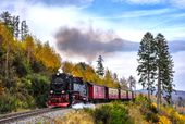 Harz intensiv erleben – 4 Tage voller Entdeckungen