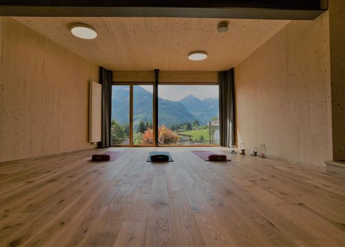 Bio- & Yogahotel Bergkristall, Schladming, Styria , Austria (22/28)