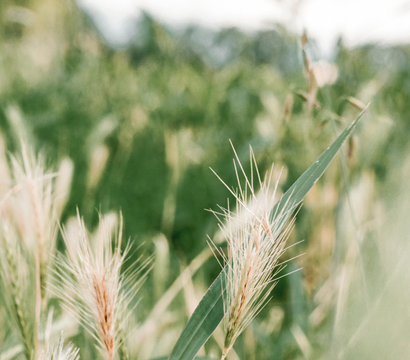 Jordan's Untermühle: Jordan’s Aktiv-Packages – erkunden