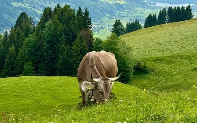 Berghüs Schratt: Buchinger Fasten & Wandern im Allgäu mit Carola