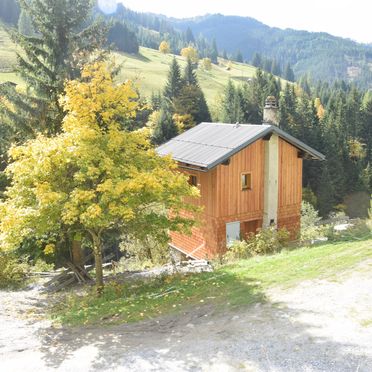 Sommer, Achtchalet, Großarl, Salzburg, Salzburg, Österreich