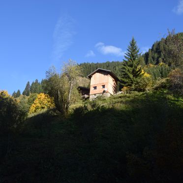 Sommer, Achtchalet, Großarl, Salzburg, Salzburg, Österreich