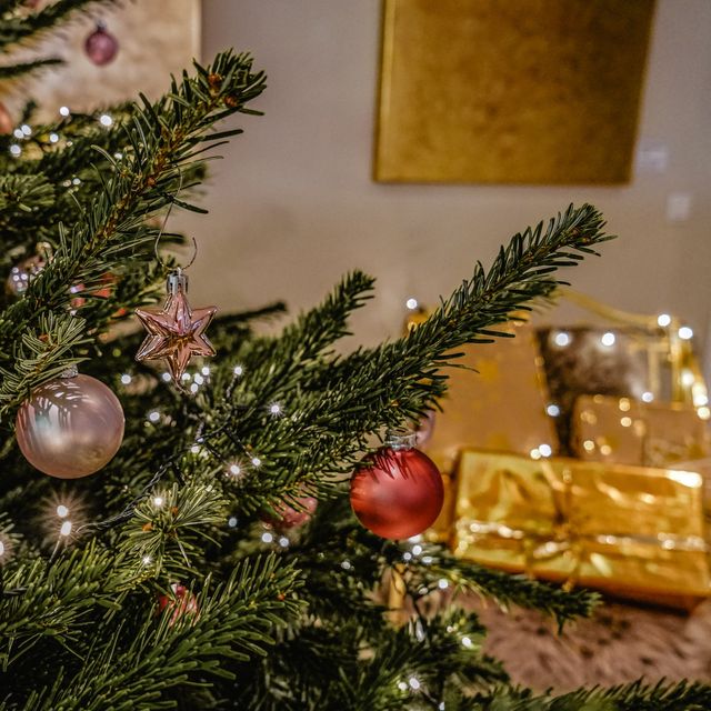 Weihnachten 2026 Bild #2