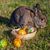 Ostern an der Ostsee
