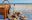 Sommerglueck am Meer