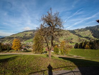 Bauernhaus Brixen - Tirol - Österreich