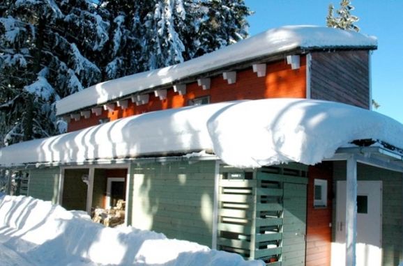 Winter, Chalet Hebalm, Pack, Steiermark, Styria , Austria