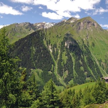 Sommer -  Umgebung, Almhütte Hoanza, Matrei in Osttirol, Tirol, Tirol, Österreich