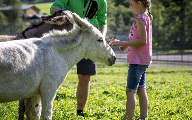 Ferienhotel Gasthof zur Post Bildergalerie