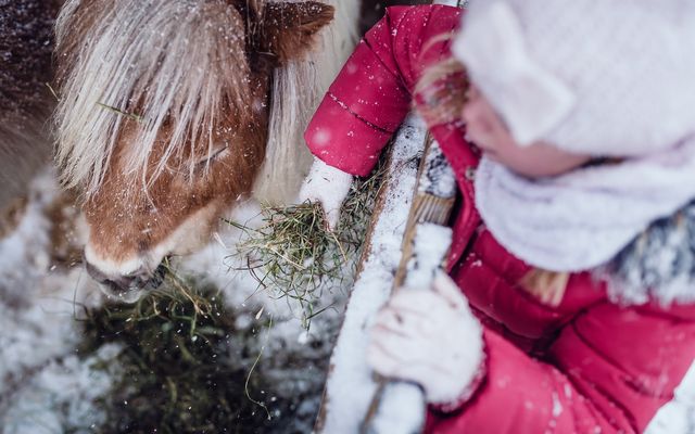 Winterspaziergang