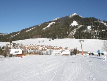 Chalet Spatzennest - Styria  - Austria