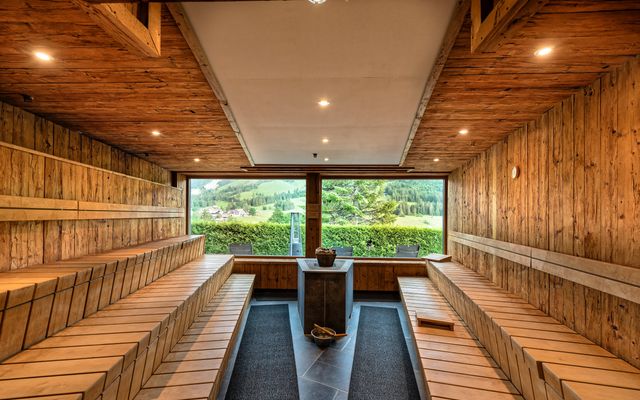 Adultium2 (www.360perspektiven.at)