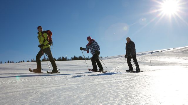 Weihnachten im Schwarzwald – Festlicher Familienurlaub Hotel Engel Todtnauberg