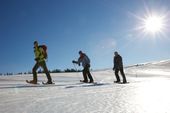 Weihnachten im Schwarzwald – Festlicher Familienurlaub Hotel Engel Todtnauberg
