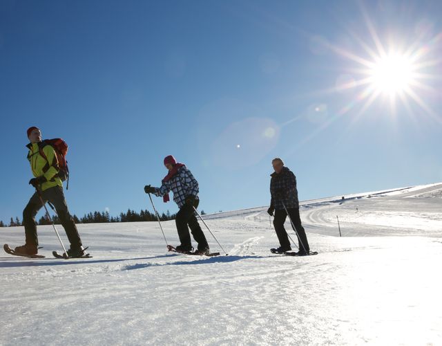 Angebot: Weihnachten im Schwarzwald – Festlicher Familienurlaub Hotel Engel Todtnauberg - Hotel Engel