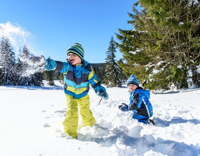 Angebot: GLITZERNDE SCHWARZWALD LIEBE - Hotel Engel