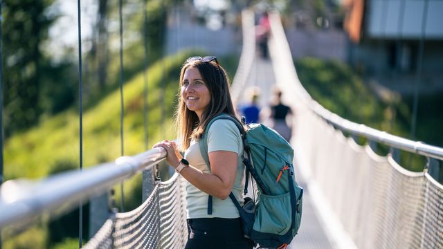 Atemberaubende Blackforestline-Hängebrücke