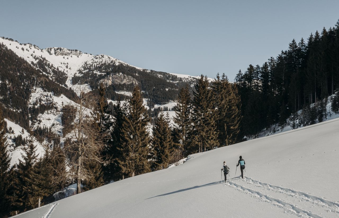 Schneeschuhwandern