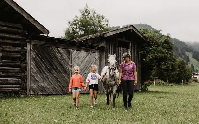 Reitstunden auf der Auli Ranch