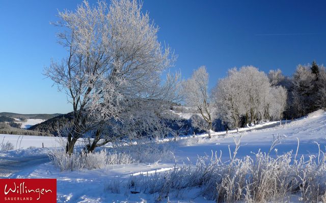 Winter in Willingen