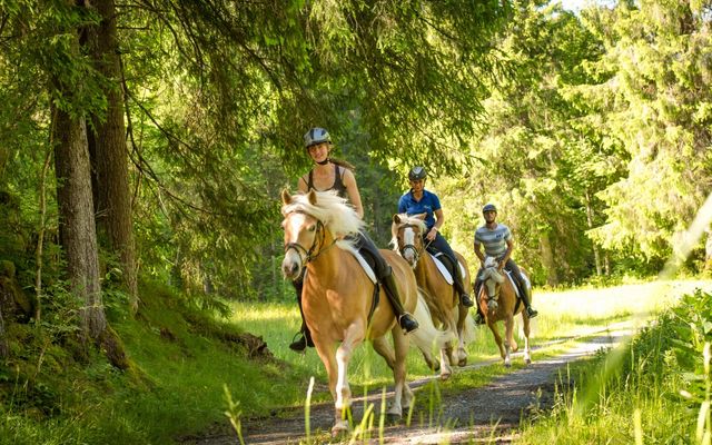 Reiten - auch im Winter