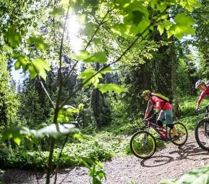 Offer: AVIVA hiking days - Hotel AVIVA make friends