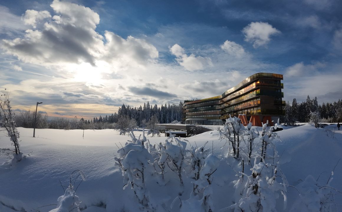 Hotel AVIVA make friends in St. Stefan am Walde, Mühlviertel, Upper Austria, Austria - image #1